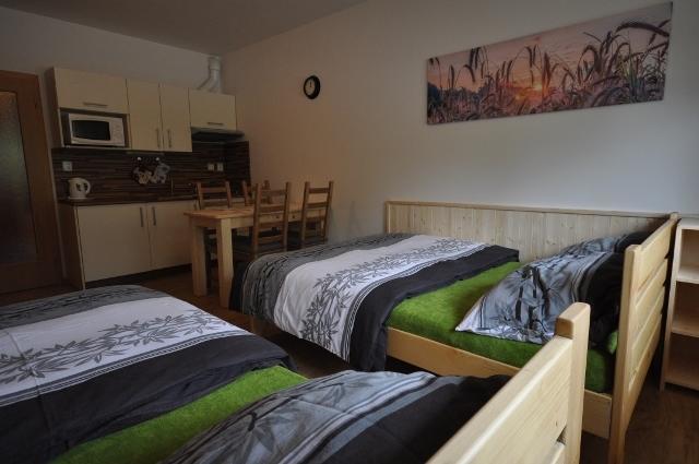 Studio Apartments Lipno 22, 24 Lipno nad Vltavou Chambre photo