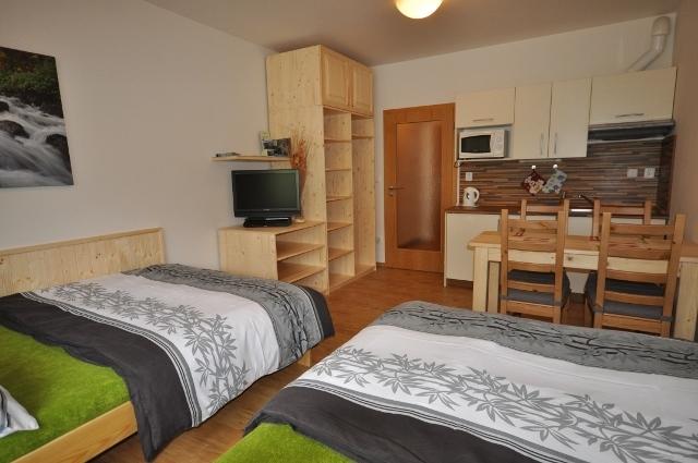 Studio Apartments Lipno 22, 24 Lipno nad Vltavou Chambre photo