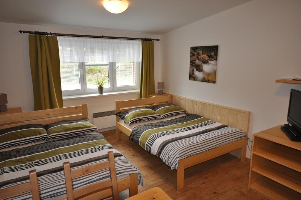 Studio Apartments Lipno 22, 24 Lipno nad Vltavou Chambre photo